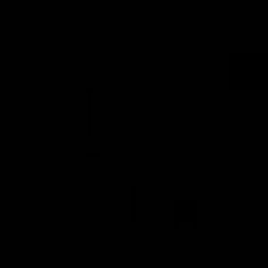 Meet your Posher, Karina